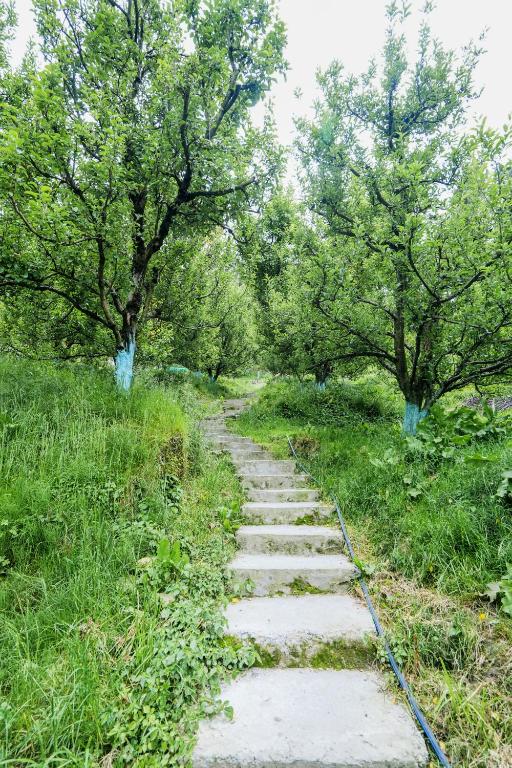 Zahrada ubytování SaffronStays Kesar Villa, Manali - beautiful villa amidst an apple orchard - All clear roads