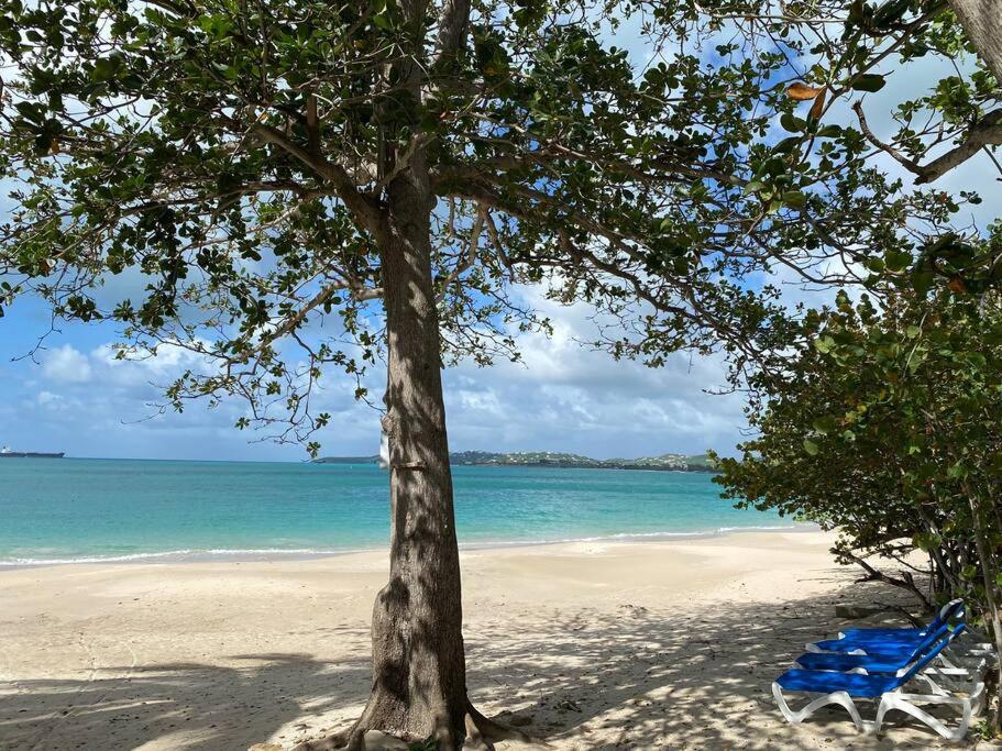 a blue chair and a tree on a beach at Beach Villa in Five Islands Village