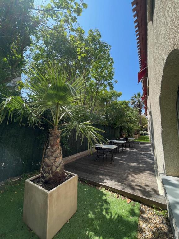 a palm tree in a concrete planter next to a patio at Hôtel Ulysse Montpellier Centre in Montpellier