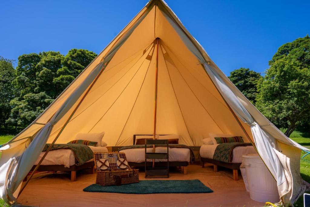 Fotografie z fotogalerie ubytování Westport Estate Glamping Village v destinaci Westport
