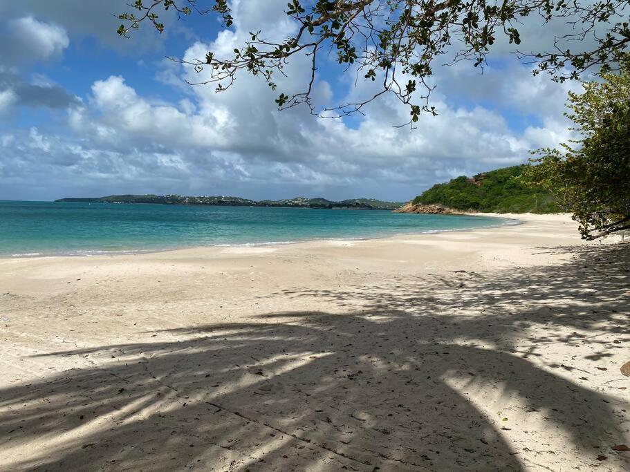 una sombra de un árbol en una playa en Breeze by the sea, en Five Islands Village