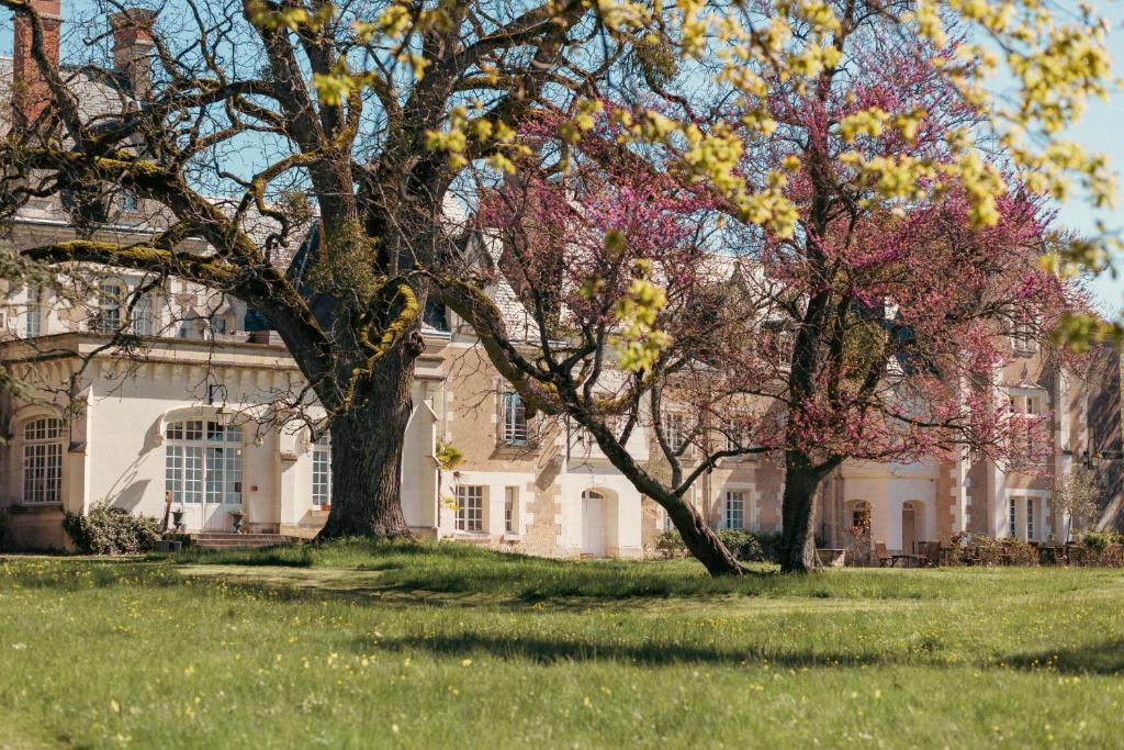 ein großes weißes Haus mit Bäumen im Hof in der Unterkunft Château De Razay in Céré-la-Ronde