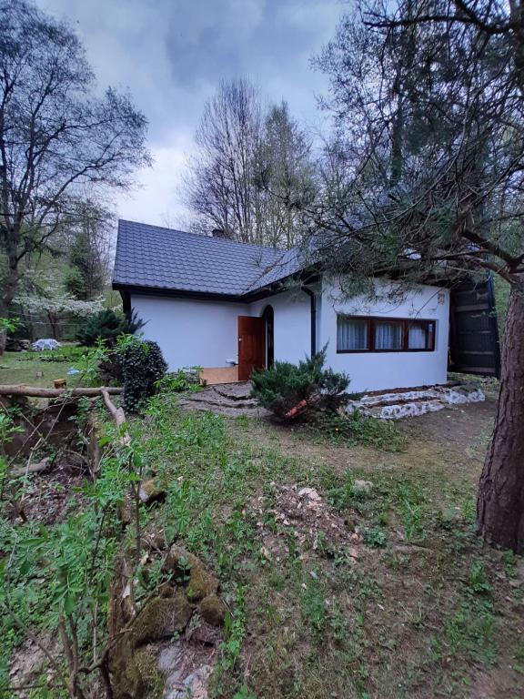 una pequeña casa blanca con un árbol delante en Domek w Gorcach, 