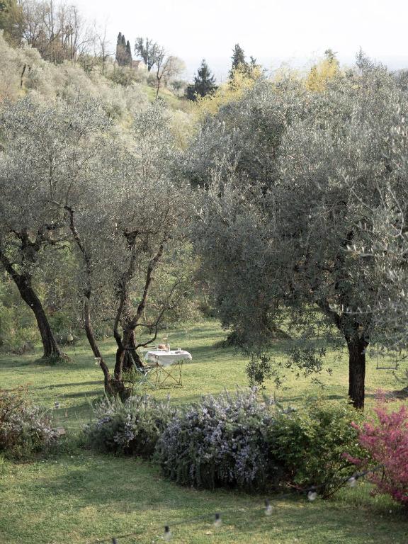 Vonkajšia záhrada v ubytovaní Le Molina B&B