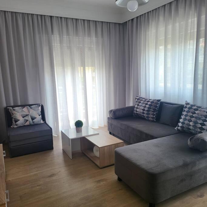 ein Wohnzimmer mit einem Sofa und einem Tisch in der Unterkunft Μοντέρνο διαμέρισμα στη Βέροια (LIBERTY) in Veria