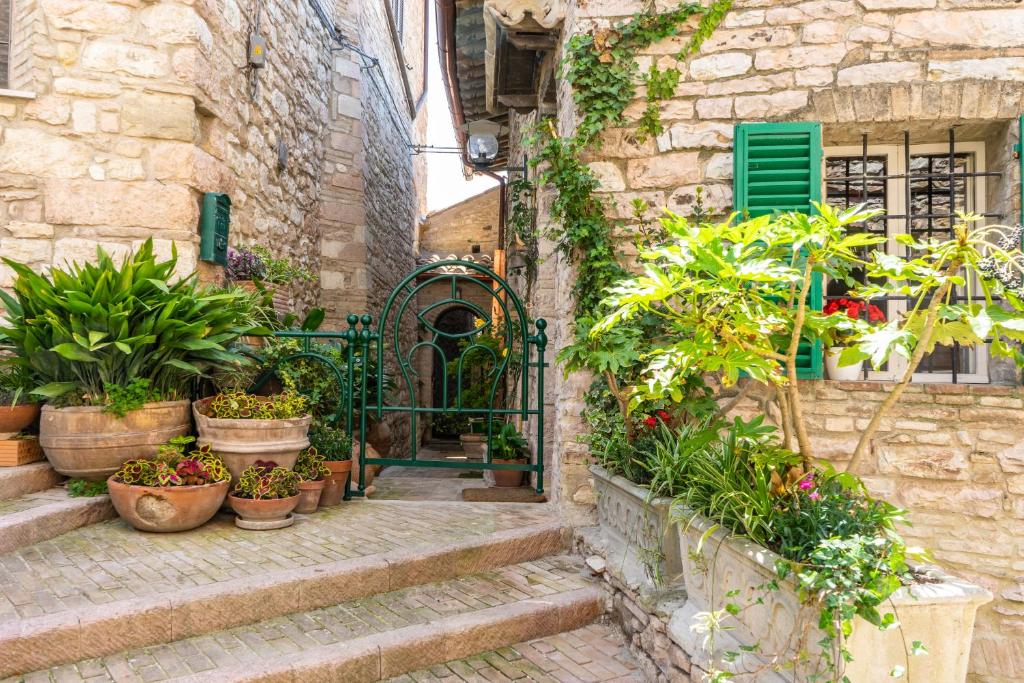 Zahrada ubytování La Viola di Assisi