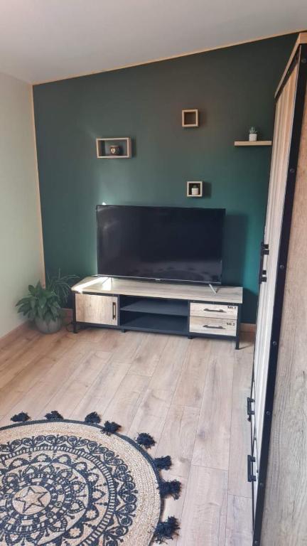 TV a/nebo společenská místnost v ubytování HAPPY SPA