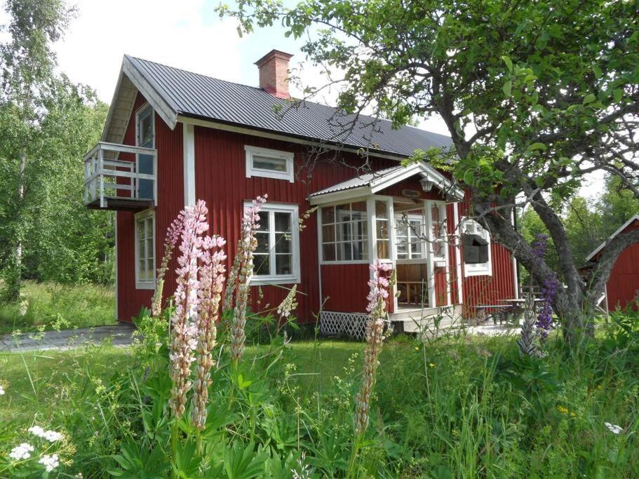 una casa roja con un jardín delante en Sommardröm, 