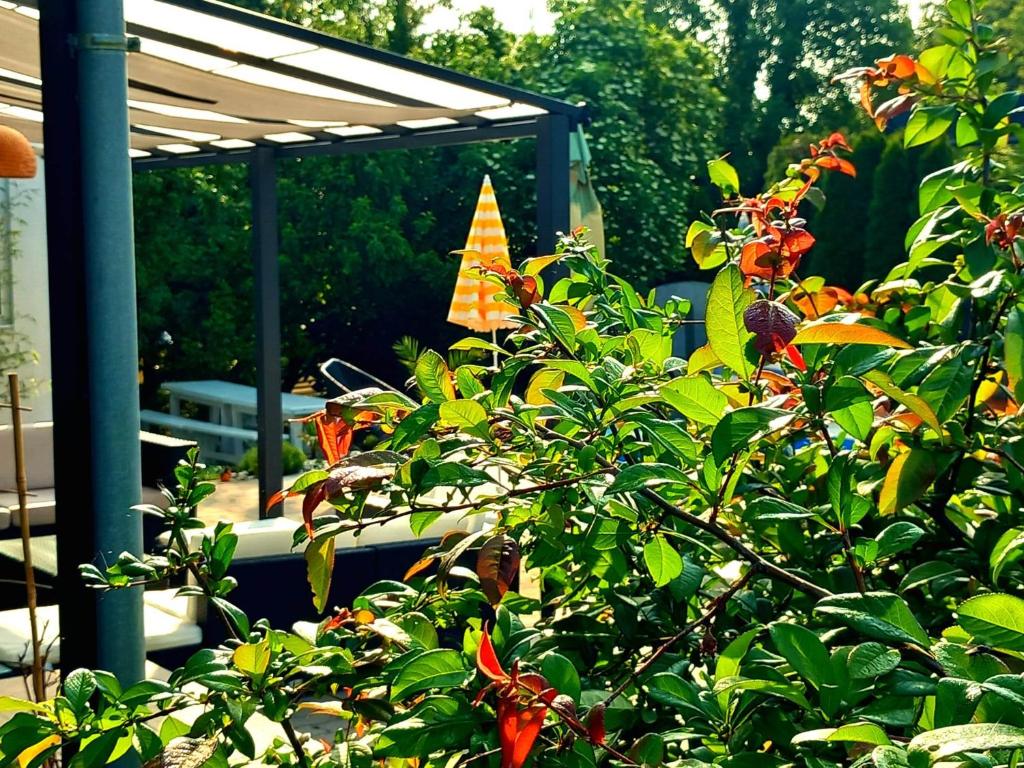 Ogród w obiekcie PoolGarden Nyaraló Siófok