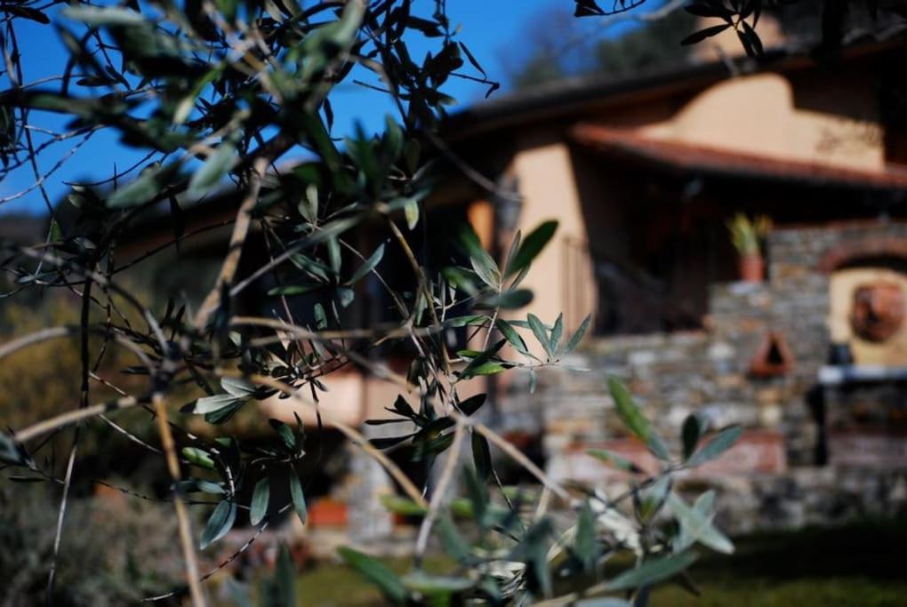 Zahrada ubytování Conca di Sopra Home