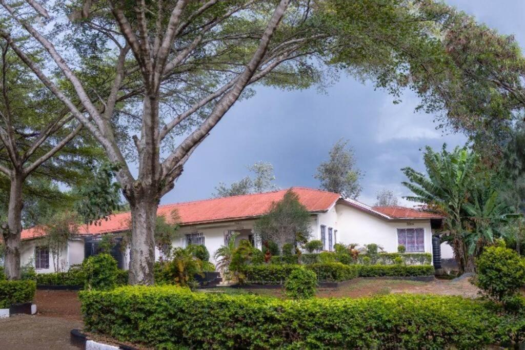 an exterior view of a house with trees and bushes at Kwe Decasa in Kisumu