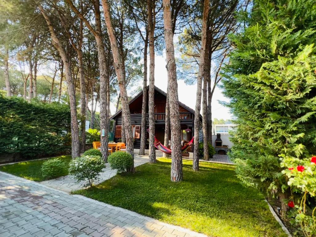una casa con una hamaca en un patio con árboles en Vila Lulebore, en Velipojë