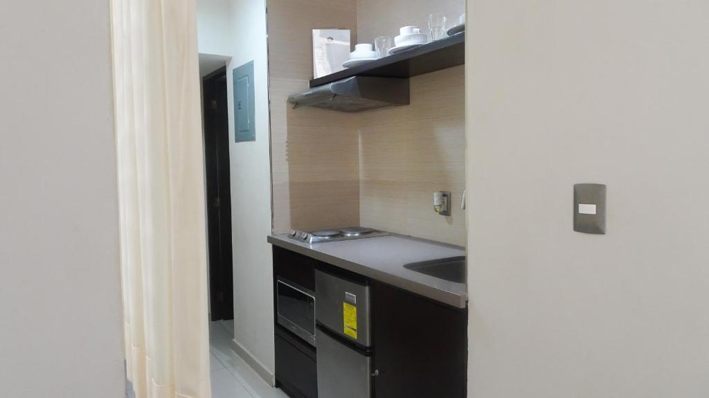 Kuchyň nebo kuchyňský kout v ubytování Suites San Luis