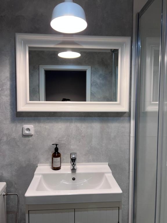 Fotografie z fotogalerie ubytování Downtown Apartments v Plzni