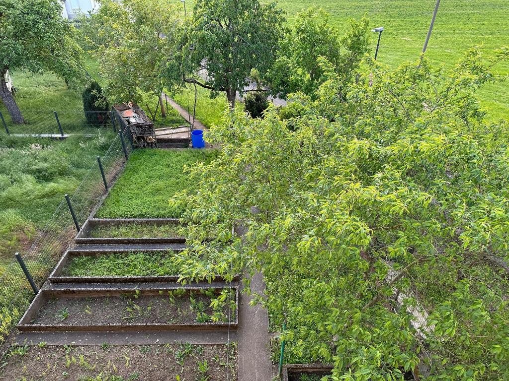 Good connection city apartment - Resim 10