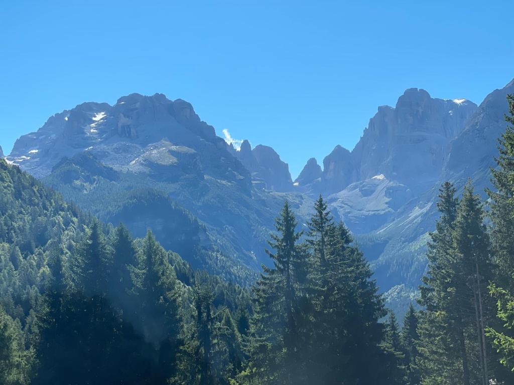 vista su una catena montuosa con alberi e montagne di CAMPIGLIO Panorama sul Brenta a Madonna di Campiglio