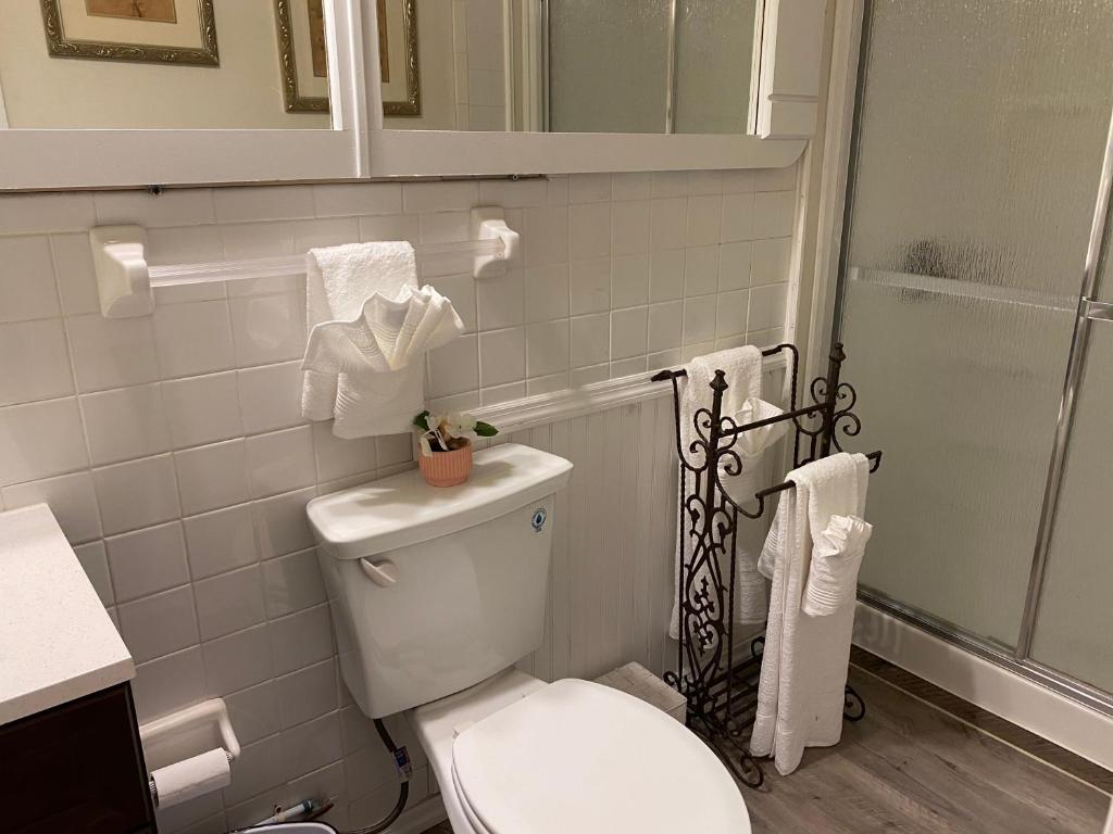 Salle de bains dans l'établissement Carol’s Airbnb