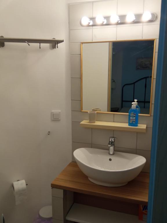 Koupelna v ubytování GS APARTMENT