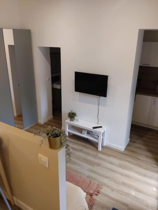 TV a/nebo společenská místnost v ubytování Les salenques