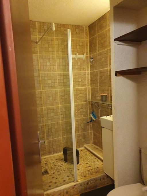 une douche avec une porte vitrée dans une salle de bain dans l'établissement ambassade des soleils, au Cap d'Agde