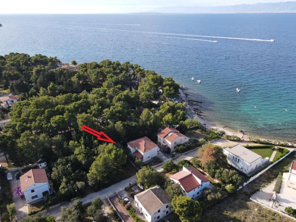een luchtzicht van een huis aan de oever van het water bij Apartments by the sea Susica, Ugljan - 21389 in Ugljan