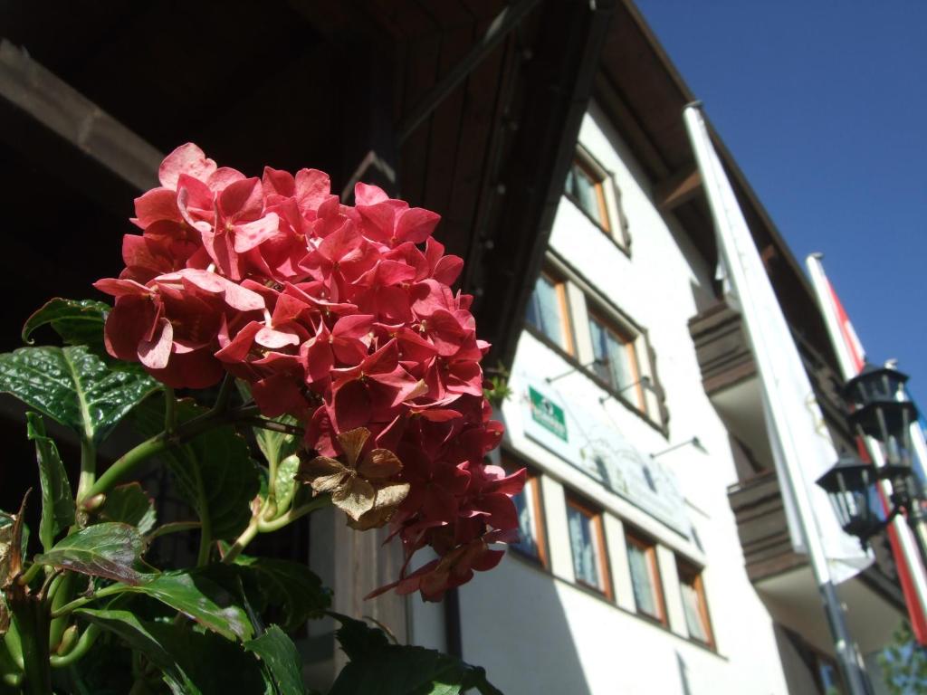 Fotografie z fotogalerie ubytování Hotel Alpensonne v destinaci Riezlern