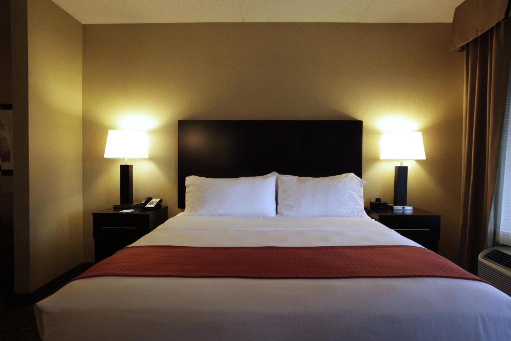 Postel nebo postele na pokoji v ubytování Holiday Inn Phoenix/Chandler by IHG