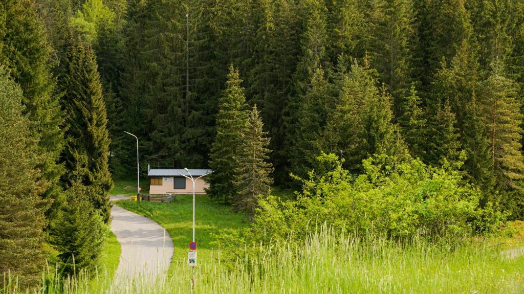 a house on a road in the middle of a forest at Ski House Jursport in Závažná Poruba