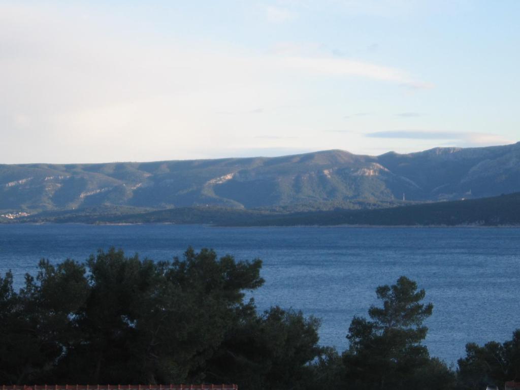 a view of a large body of water with mountains at Apartments Marjanovic in Bol