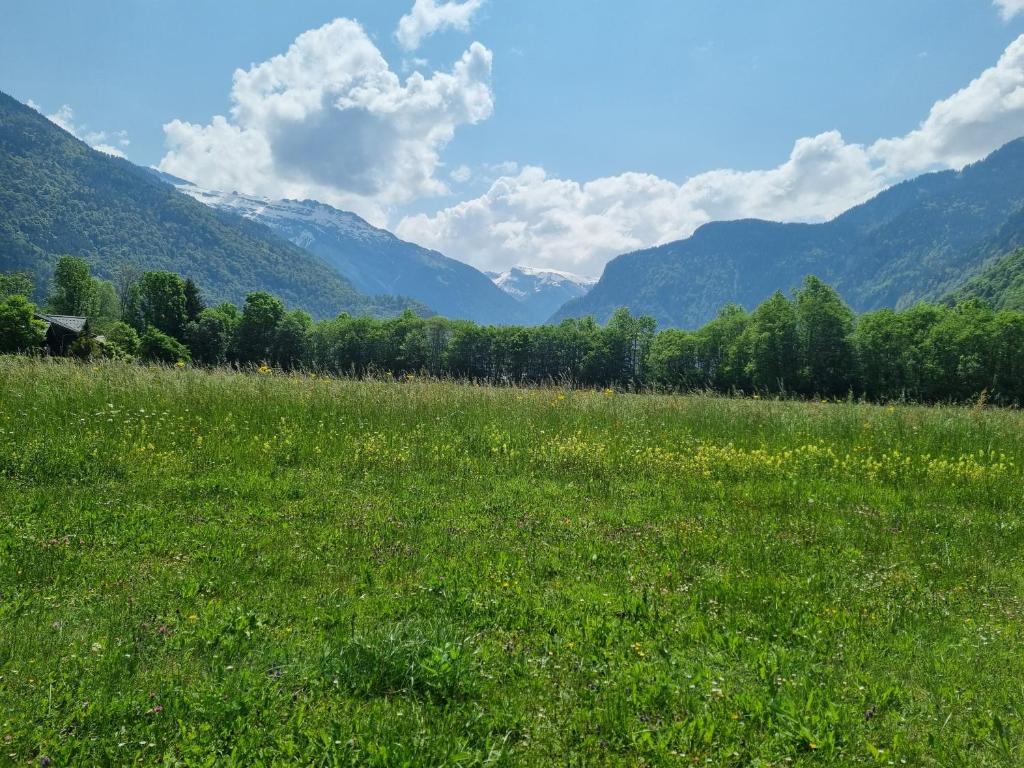 Príroda v okolí apartmánu