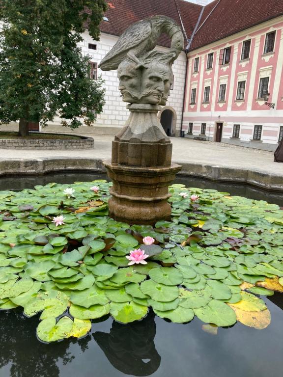 Zahrada ubytování Penzion Neptun