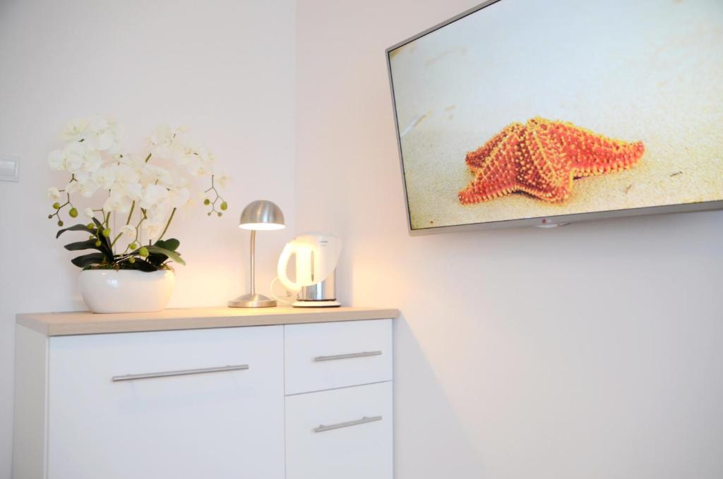 Zimmer mit einem TV mit Seestern auf der Theke in der Unterkunft Bałtyckie-Hel in Hel