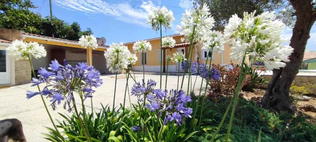 Zahrada ubytování Kyrios Lounge restful studio with private pool and car available