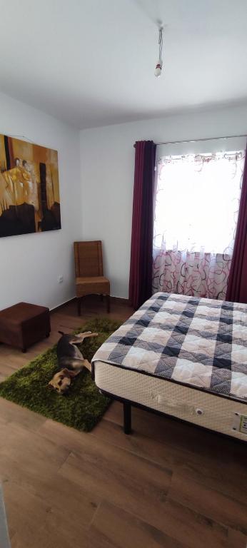 Postel nebo postele na pokoji v ubytování Kyrios Lounge restful studio with private pool and car available