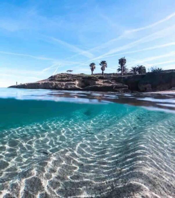 an image of a beach with blue water and palm trees at Casa sul mare in Porto Torres