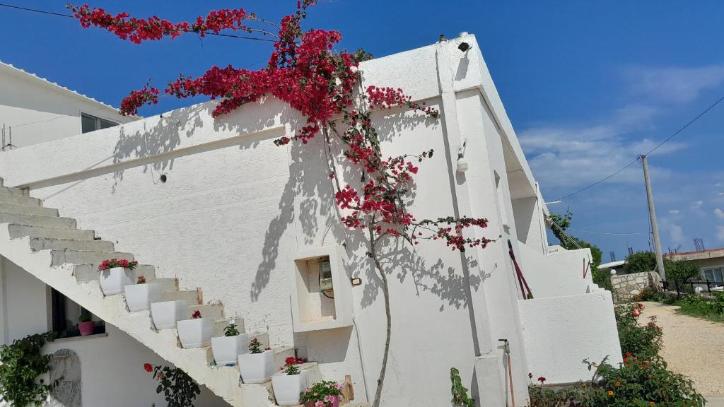 Fotografie z fotogalerie ubytování Apartments Denis v destinaci Ksamil