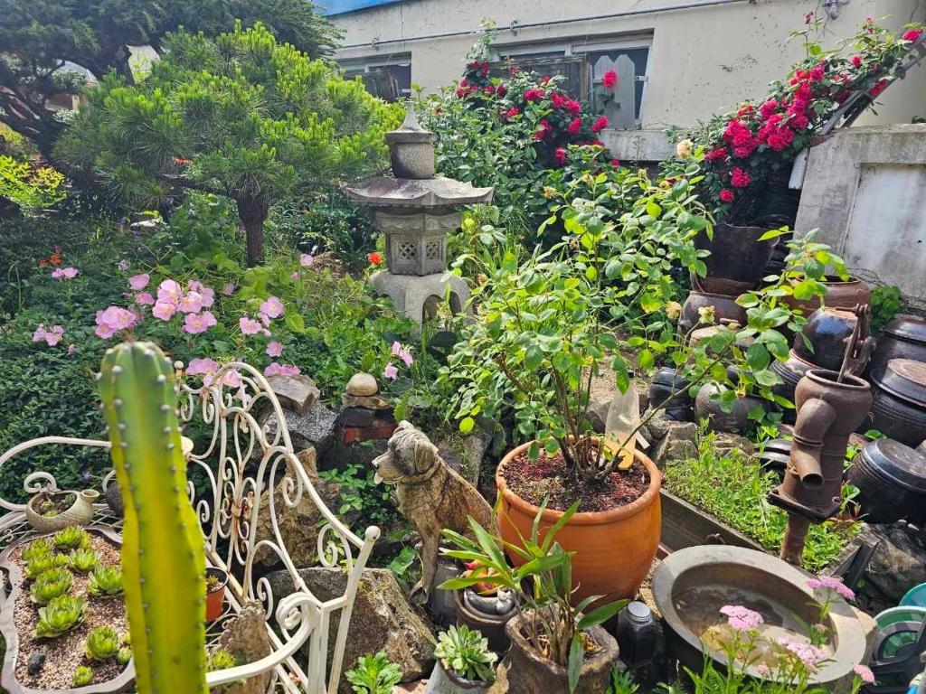 Zahrada ubytování Beautiful Garden Fine Day House