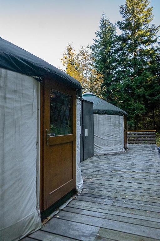 Row of white yurts on wooden deck surrounded by evergreen trees at dusk.