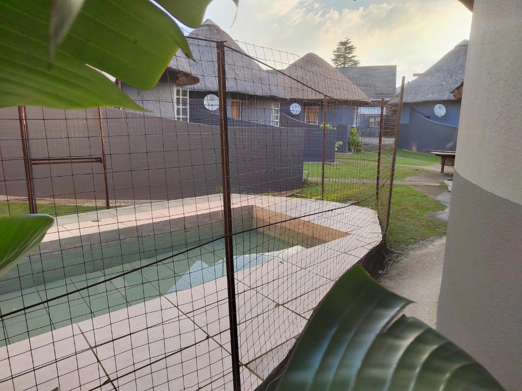 a cage in a house with a swimming pool at Graskop family retreat and backpackers in Graskop