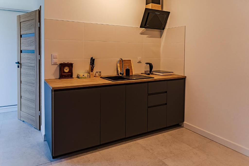 Jeżowa Woda Ośrodek Wypoczynkowy Palmiarnia i SPA - Apartment