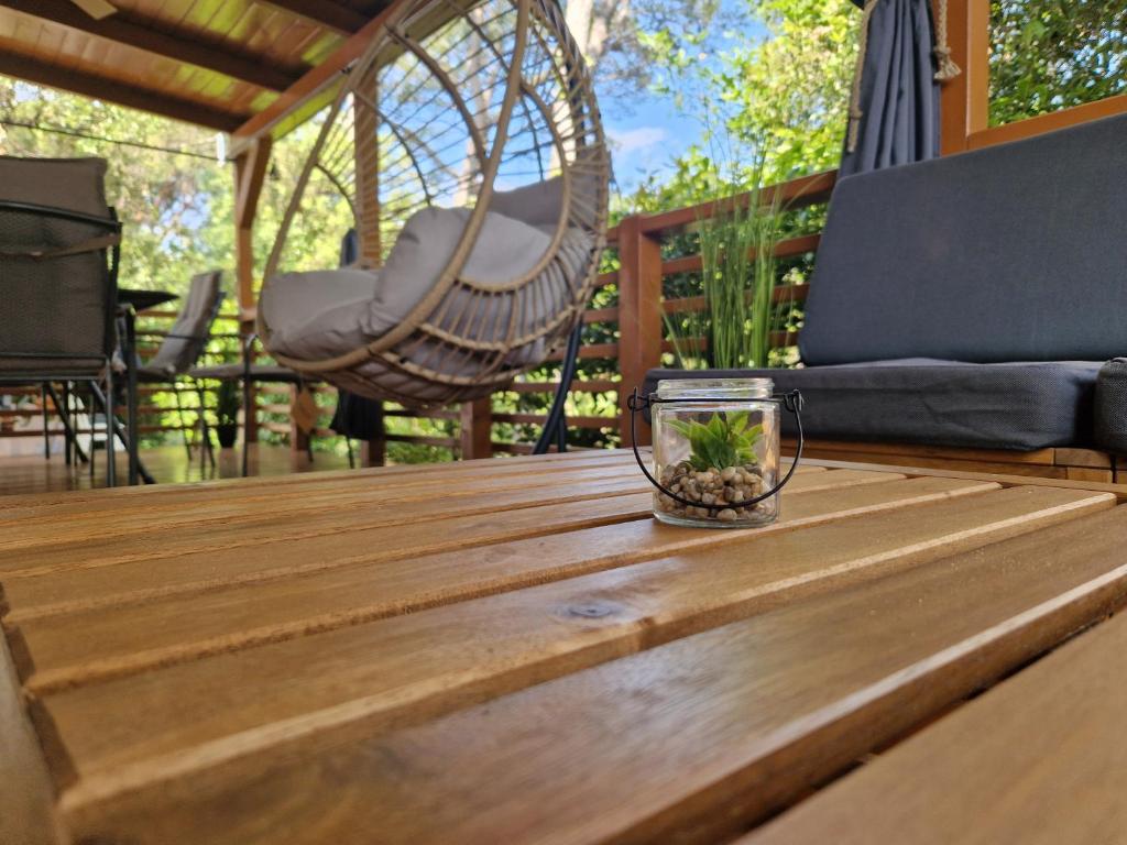 un tazón de cristal con una planta en él sentado en una mesa de madera en Mobile Homes 'JAKOV', Camp Soline en Biograd na Moru