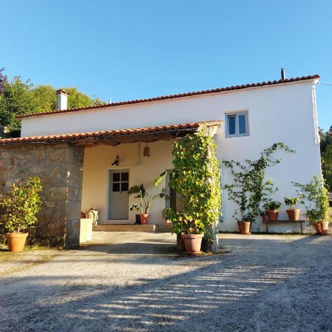 a white house with potted plants in front of it at Doni Beach House in A Coruña