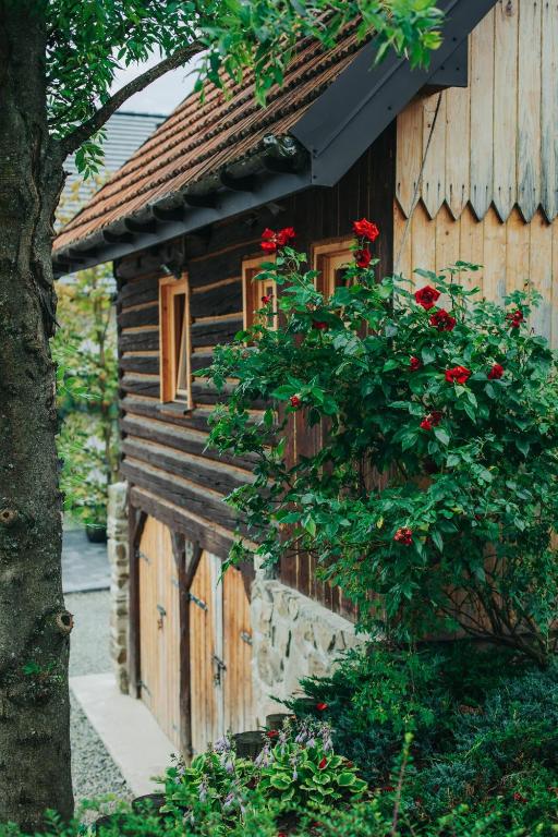 Jeżowa Woda Ośrodek Wypoczynkowy Palmiarnia i SPA - Two-Bedroom Chalet