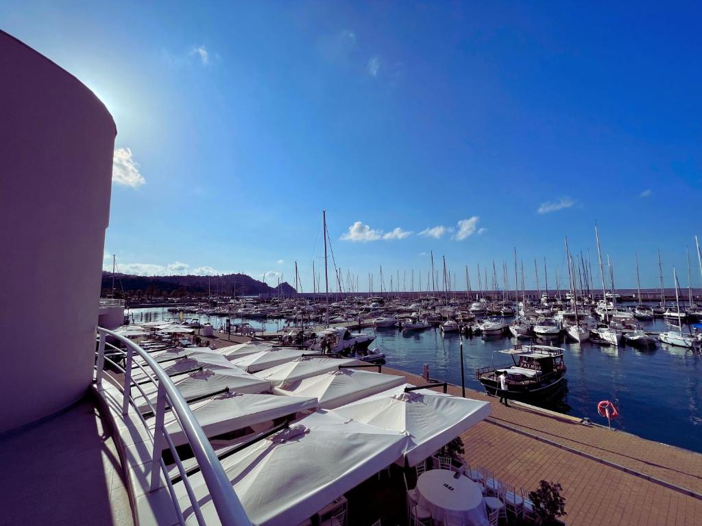 Um monte de barcos estão ancorados numa marina. em Sestante Marina Motel em Capo dʼOrlando