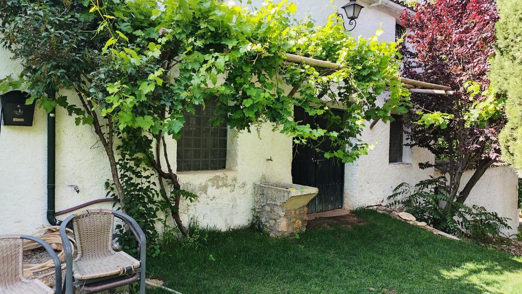 Alojamiento Rural Las Maravillas - 8