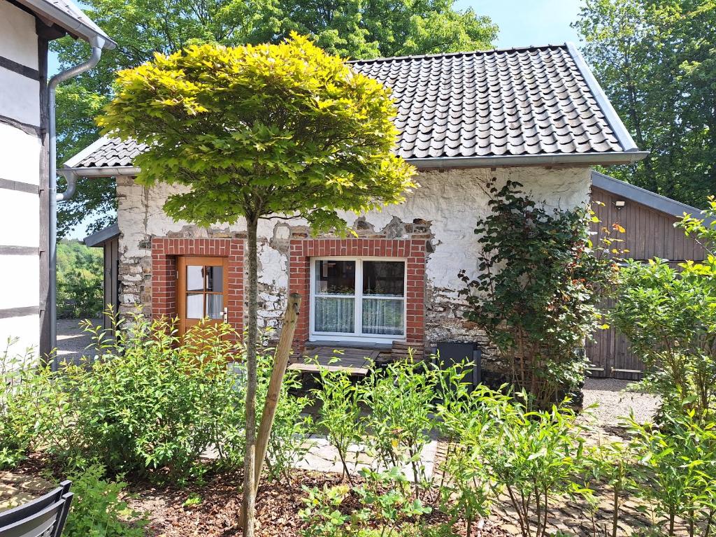 una pequeña casa con un árbol en el patio delantero en Ferienhaus Altes Backhaus, en Roetgen