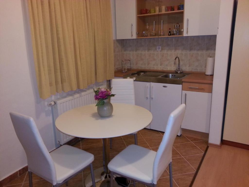 Кухня или мини-кухня в New Studio Apartments Trlaja
