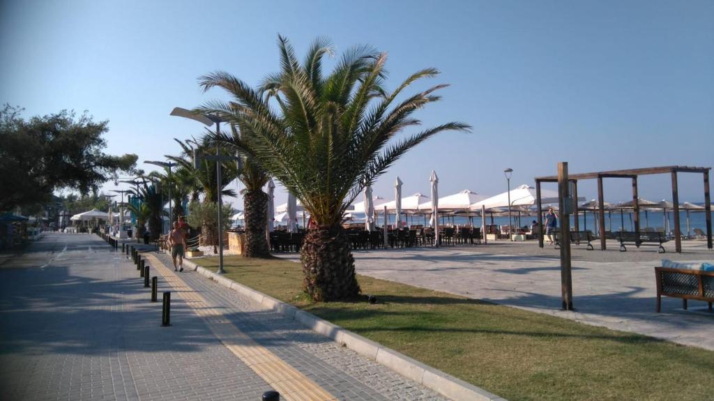 a street with palm trees and benches on a beach at Lilli Deluxe apartment in Nikiti