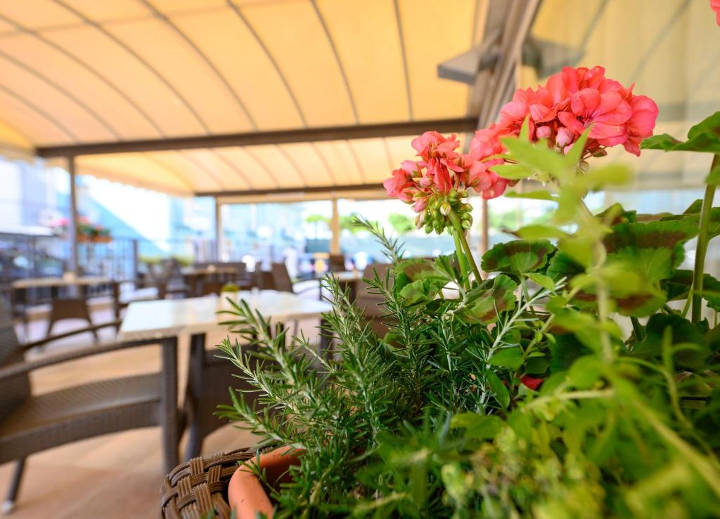 Hotel Harmony - Resim 22