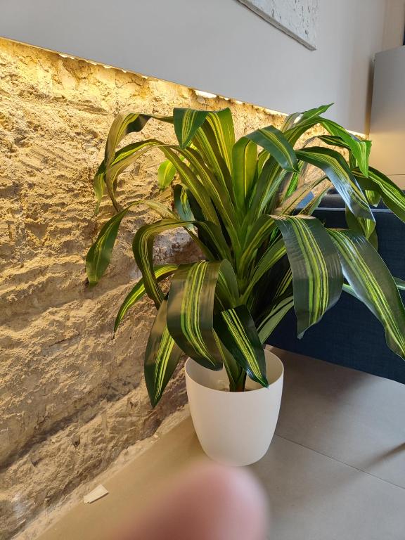 Ideal City Walk - Resim 28